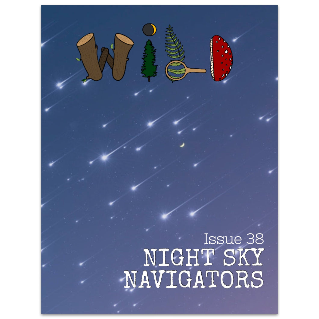 WILD Mag Issue 38: Night Sky Navigators