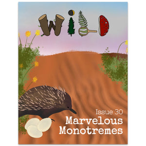 WILD Mag Issue 30 - Monotremes