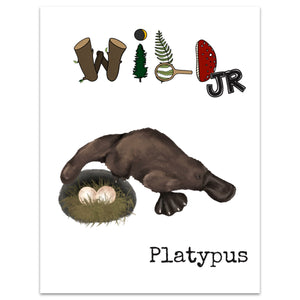 WILD Mag Jr - Platypus