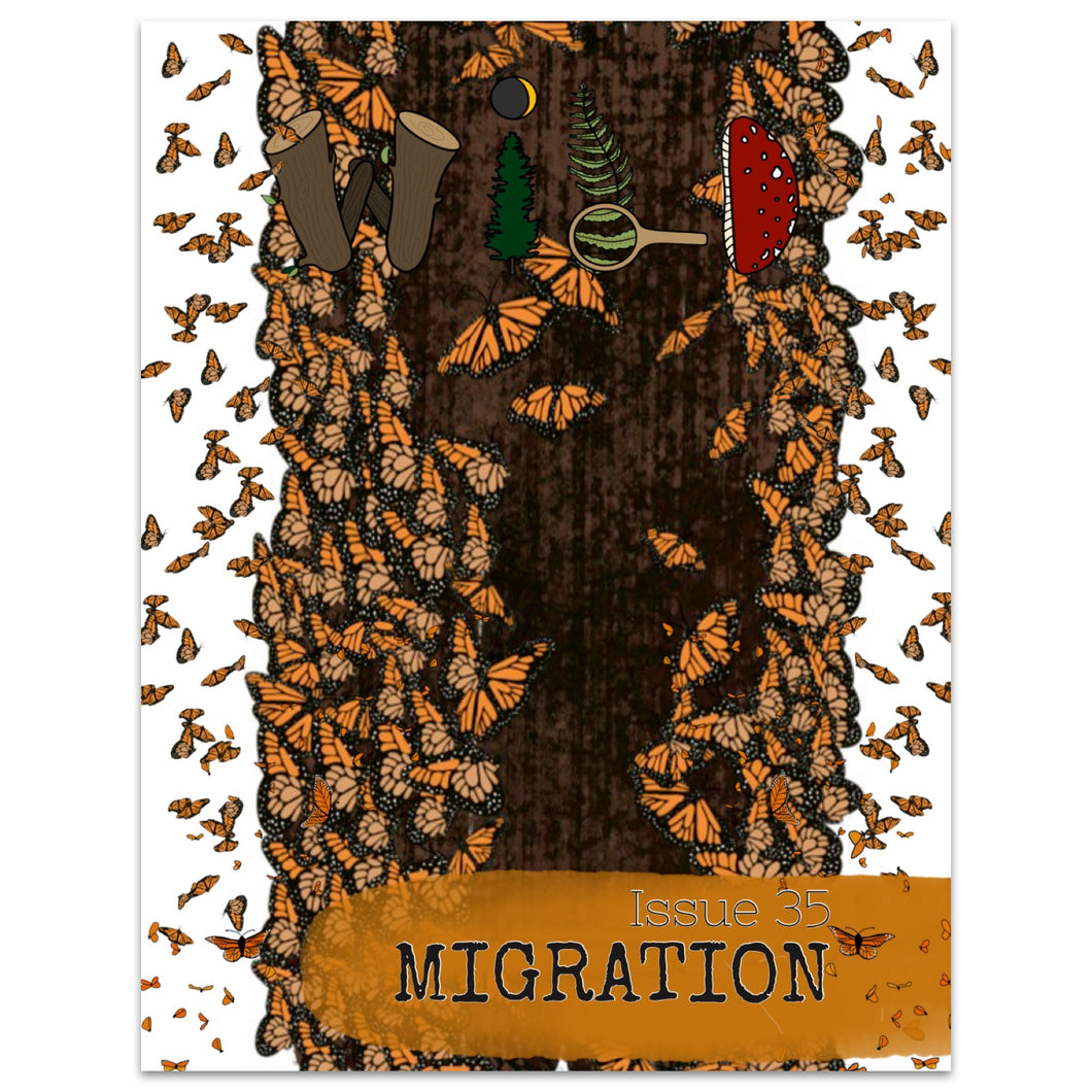 WILD Mag Issue 35: Migration