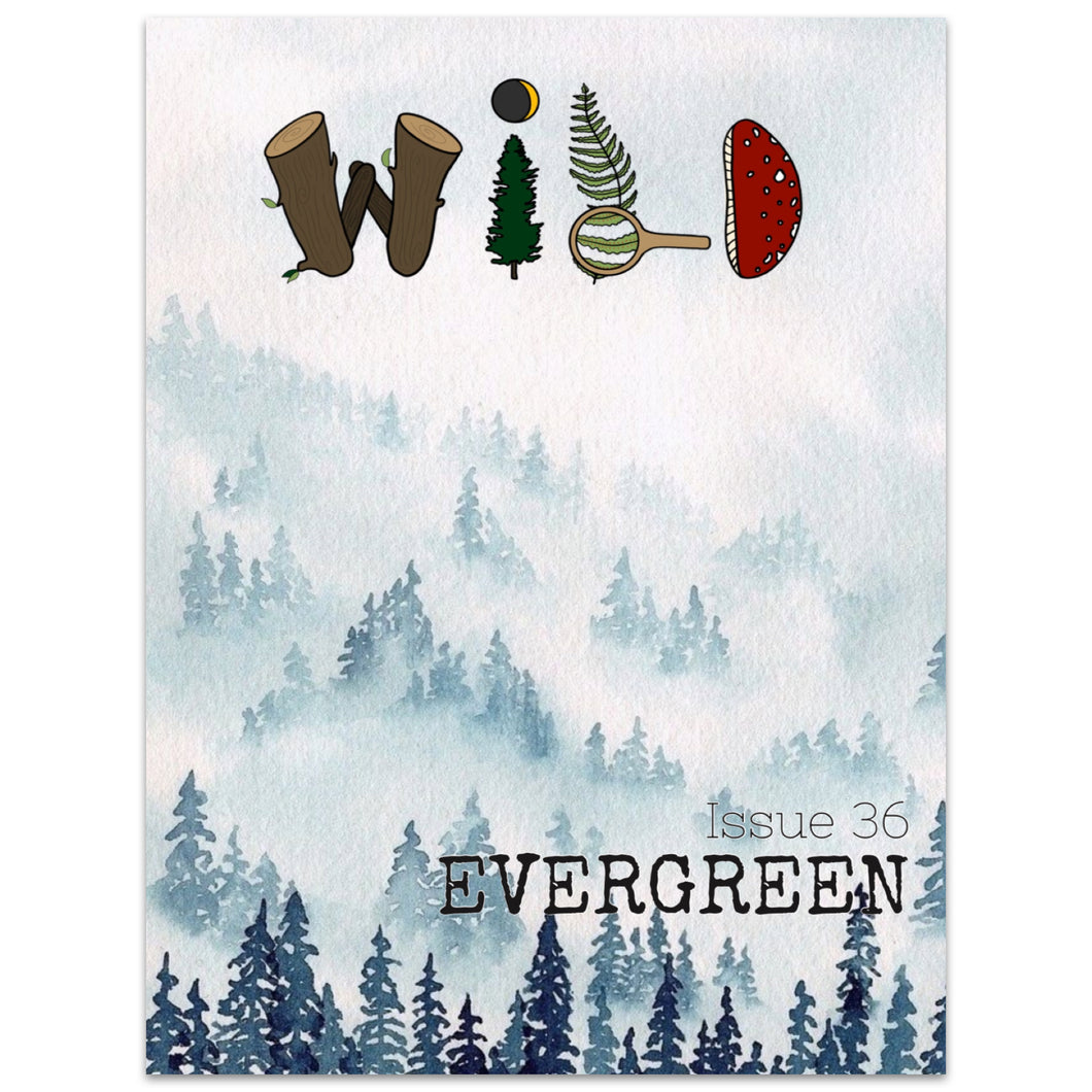 WILD Mag Issue 36: Evergreen