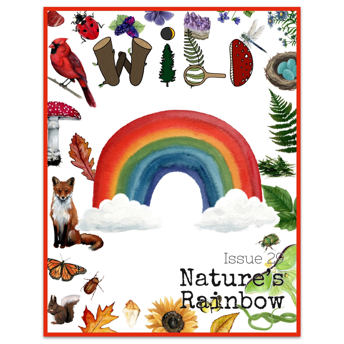 WILD Mag Issue 29 - Nature's Rainbow – Firefly Nature School