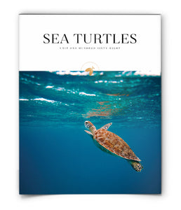 Sea Turtles